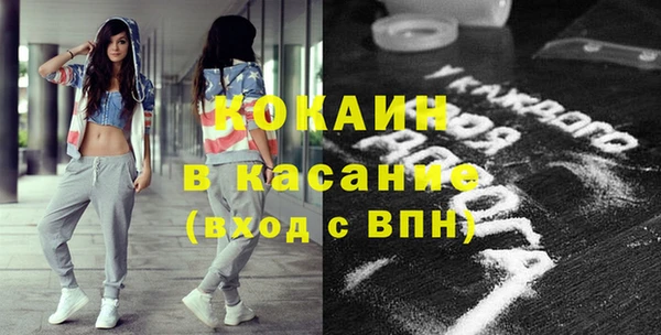ПСИЛОЦИБИНОВЫЕ ГРИБЫ Верея