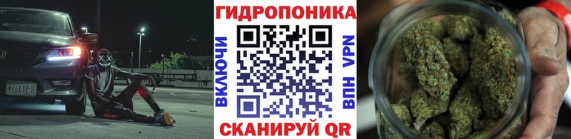 Марихуана White Widow  даркнет сайт  Дагестанские Огни 